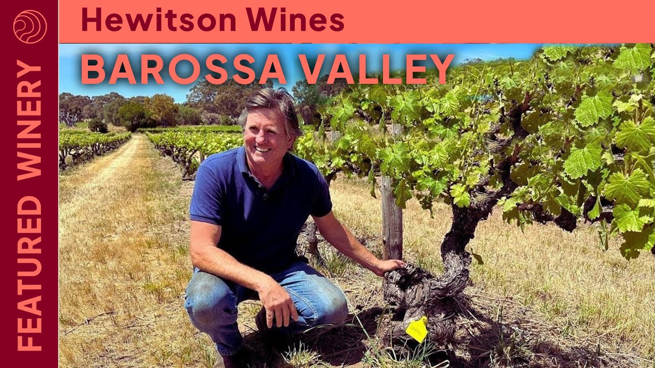 A Coveted Secret In The World's Oldest Mourv&egrave;dre Vineyard 🤫