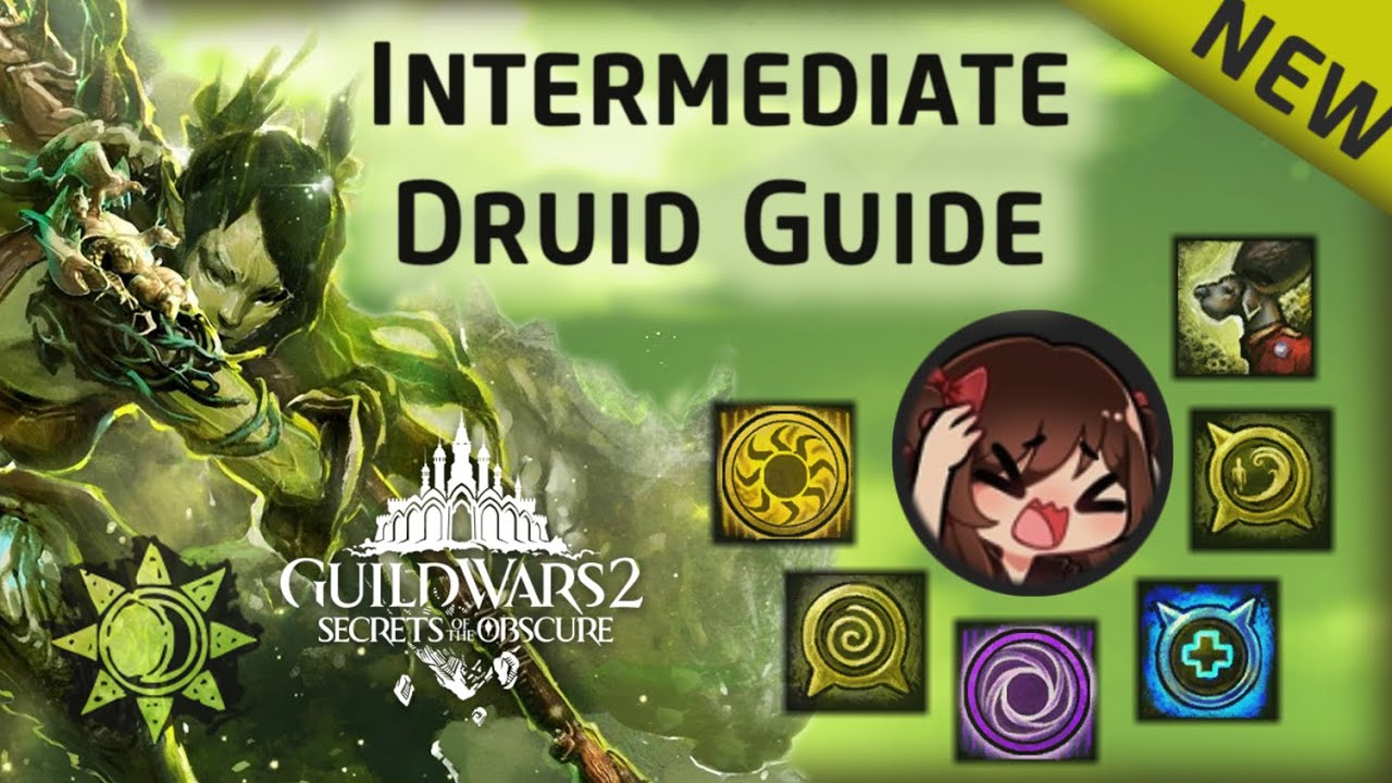 Intermediate Druid Guide for Raids/Strikes