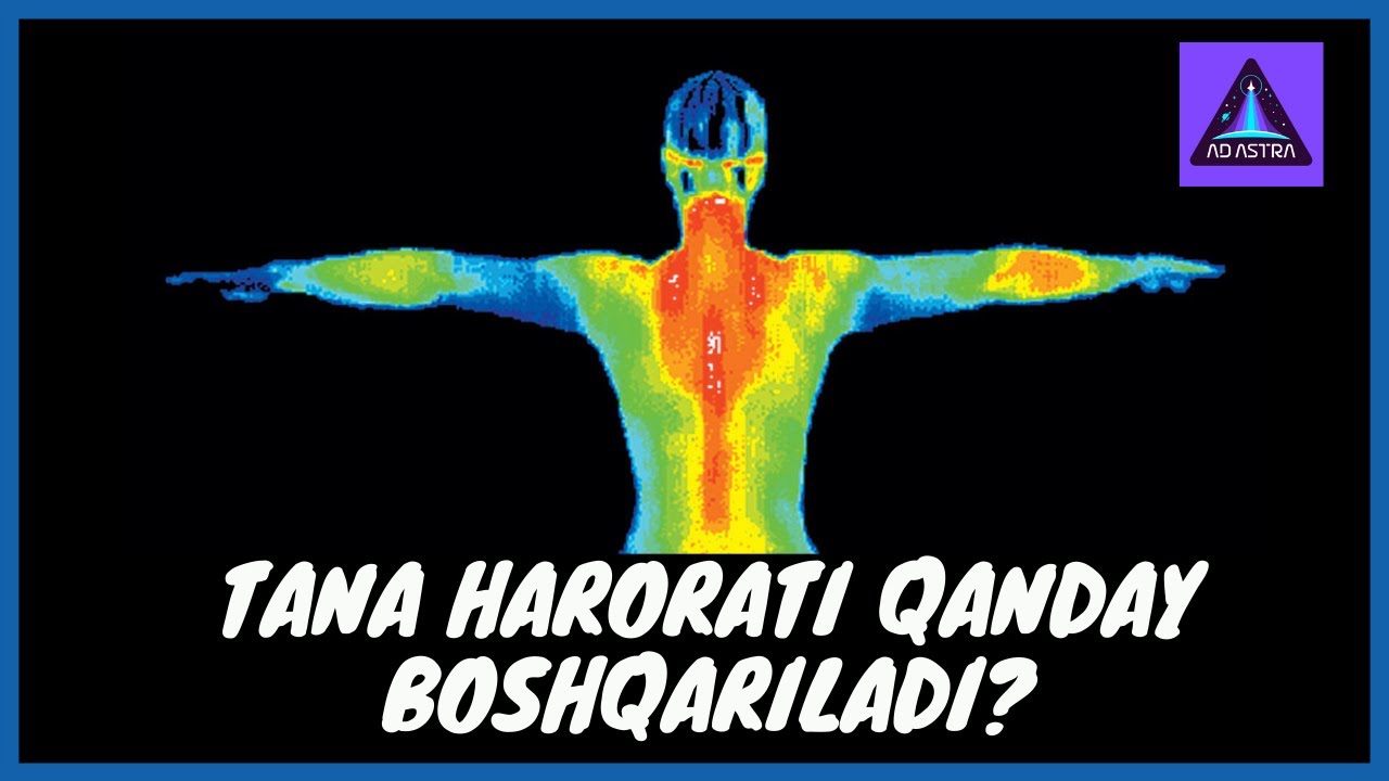 TANA HARORATINI BOSHQARISLISHI  |  TERMOREGULYATSIYA