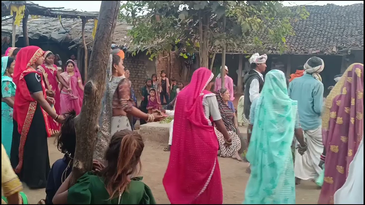 आदिवासी कोरकू गाड़ली सुसुन वीडियो || adivasi korku gadli susun video 📷
