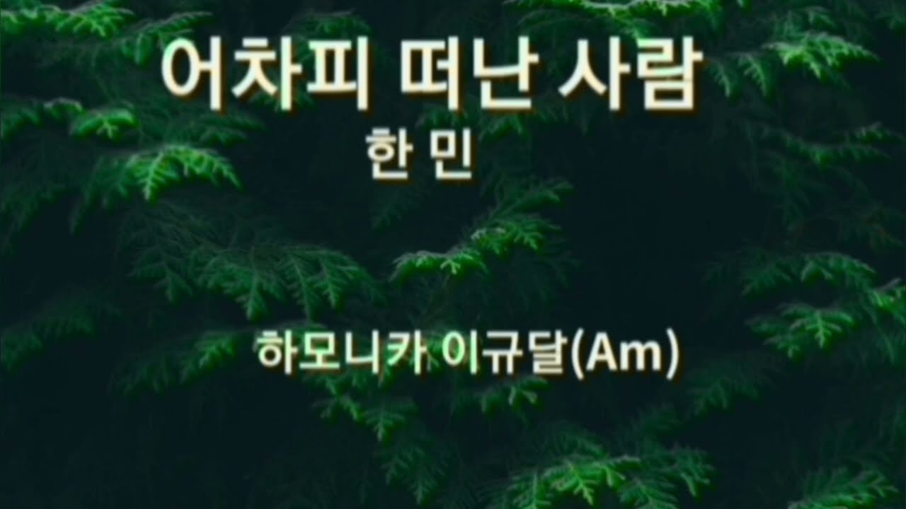 어차피 떠난 사람/한민                       하모니카/이규달