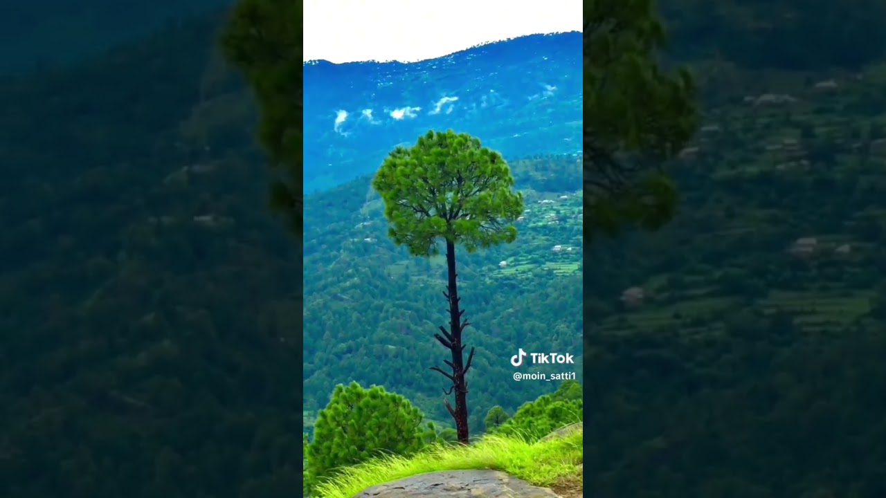 beautiful azaan #viralvideo #nature #beautifulazaan #architect #shortvideo #music #azaan