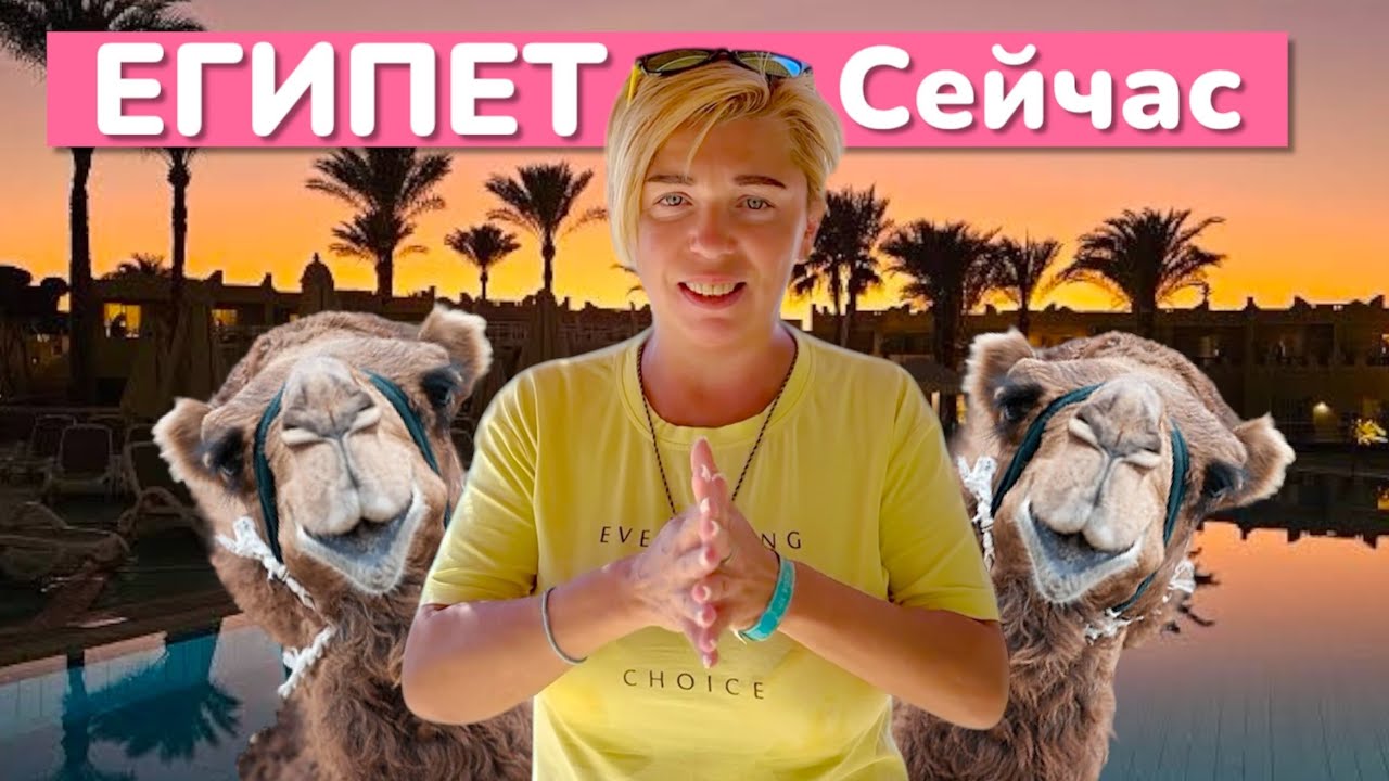 Чем ЗАНЯТЬСЯ В ЕГИПТЕ. SUNRISE Aqua Joy Resort 4*. ЕГИПЕТ 2025. Хургада 2025. Египет сейчас.