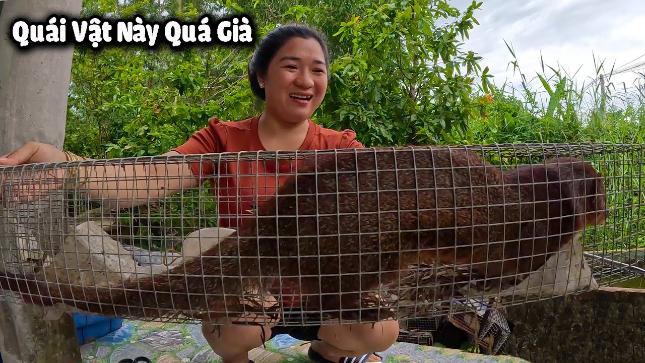 Hạ Gục Con Quái Vật 4 Chân Nó To Khủng Khiếp # CSBR # 355