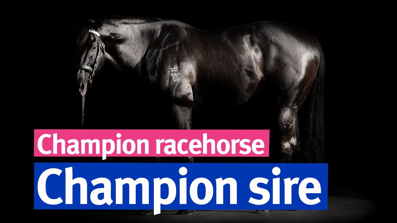 Lonhro - 21 years making history