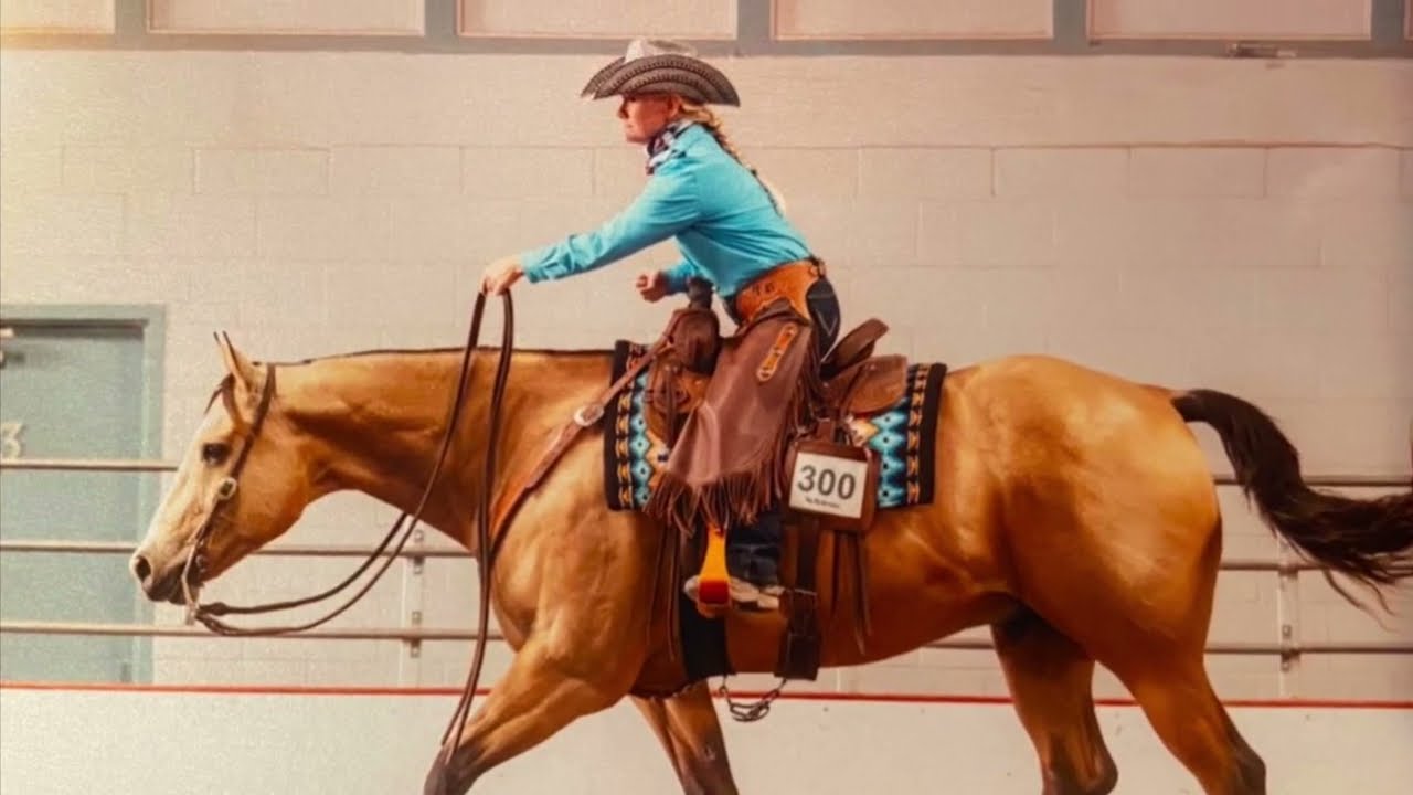 2014 AQHA ABRA IBHA Buckskin Gelding