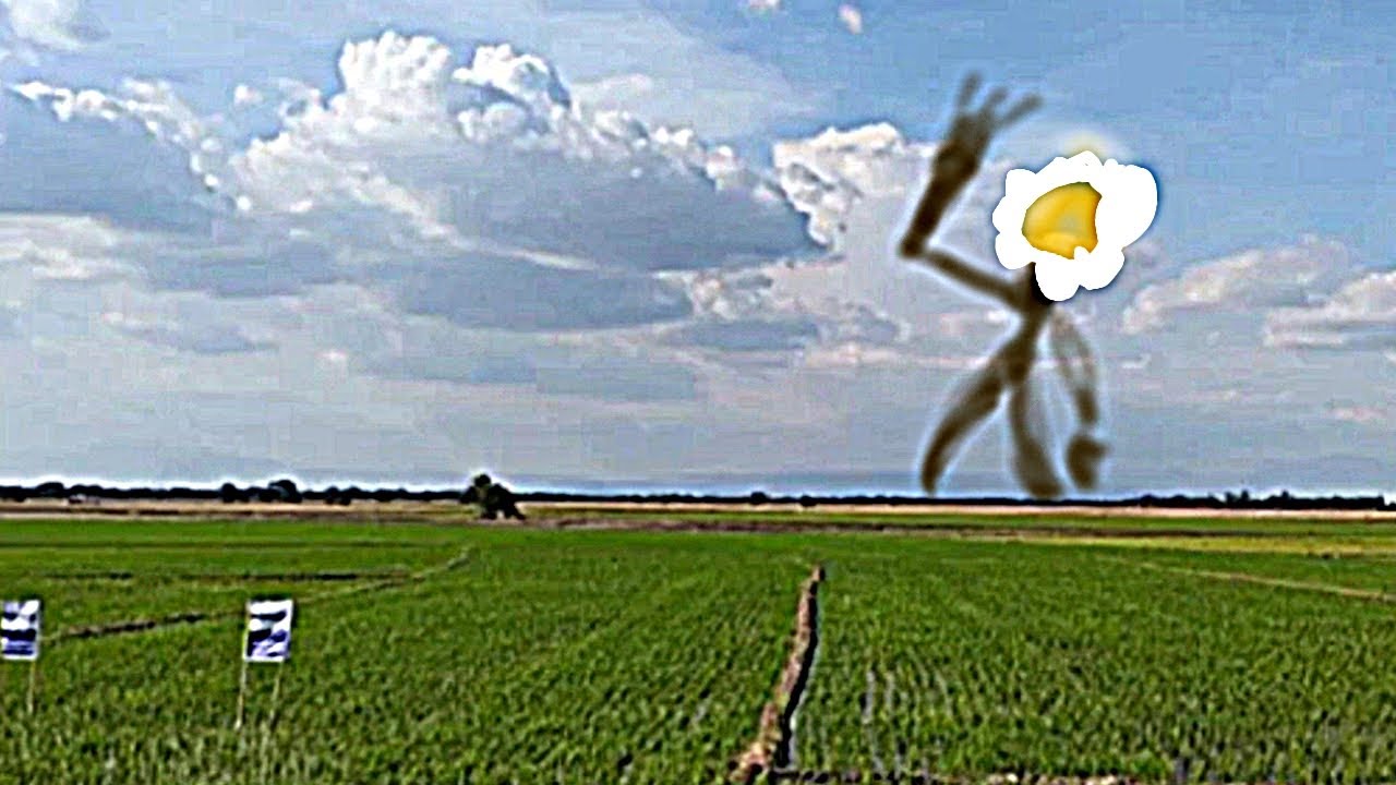 Trevor Hnderson  draw drawing head flower