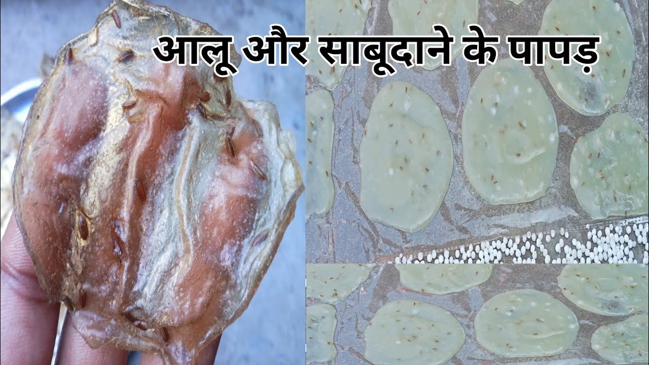 आलू और साबूदाने के पापड़ बनाने की नई और सबसे आसन तरीका l Sago potato papad Recipe l व्रत रेसिपी 