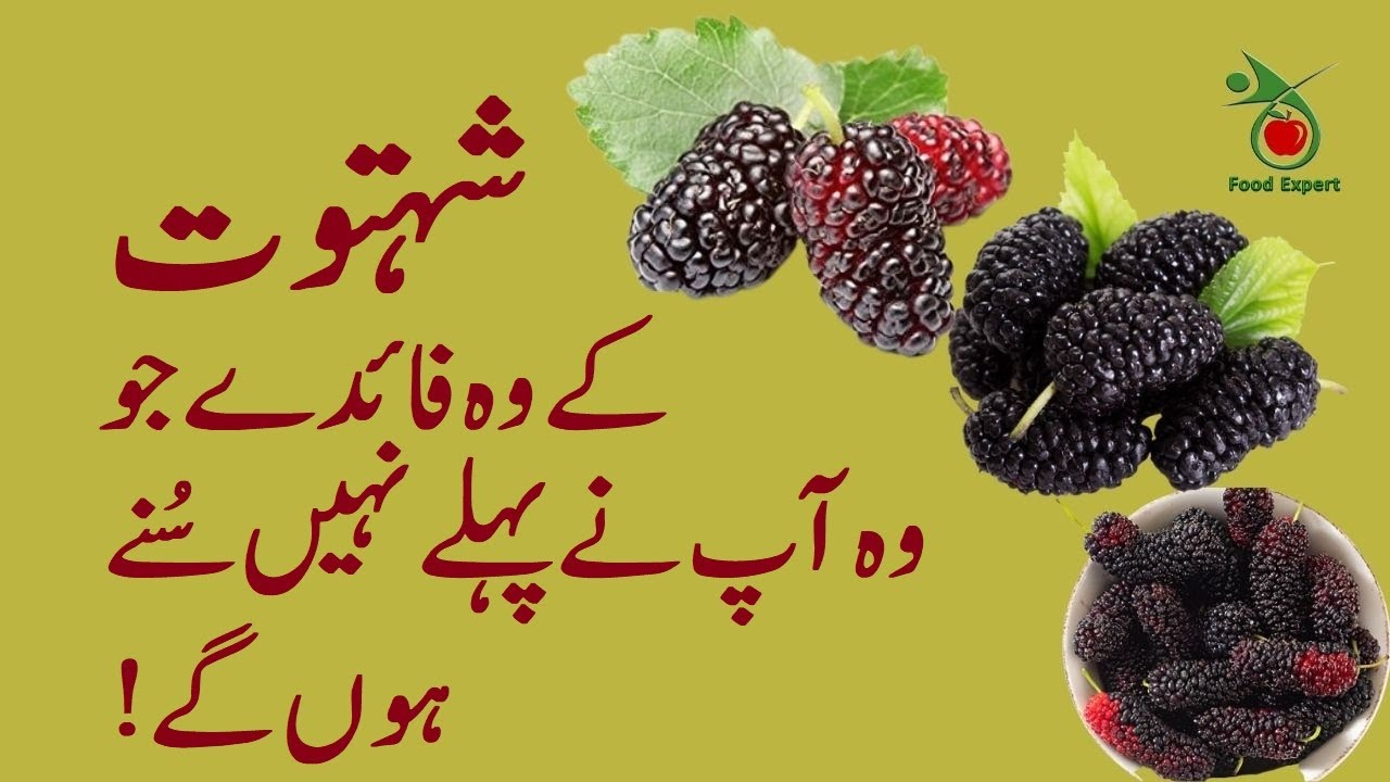Shahtoot Ke Wo Fayde Jo Aap Ne Pehle Nhi Suney Hon Ge |Food Expert