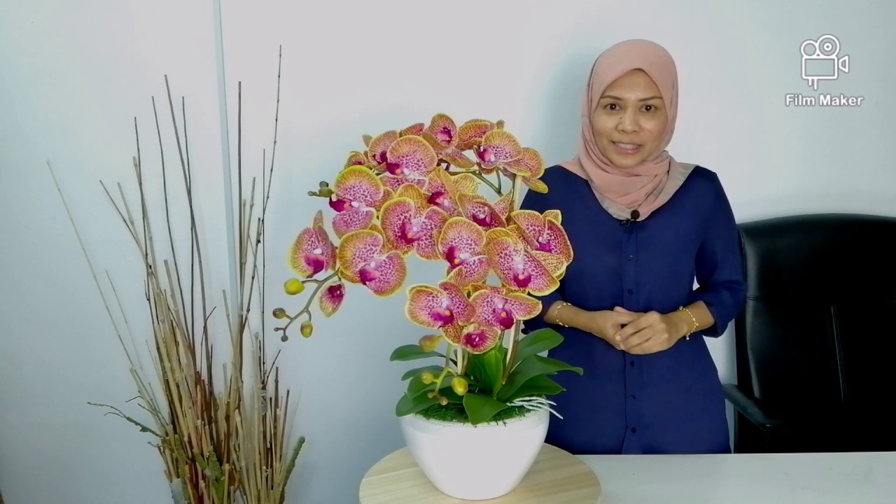Simple Arrangement for 3 Stalks Phalaenopsis