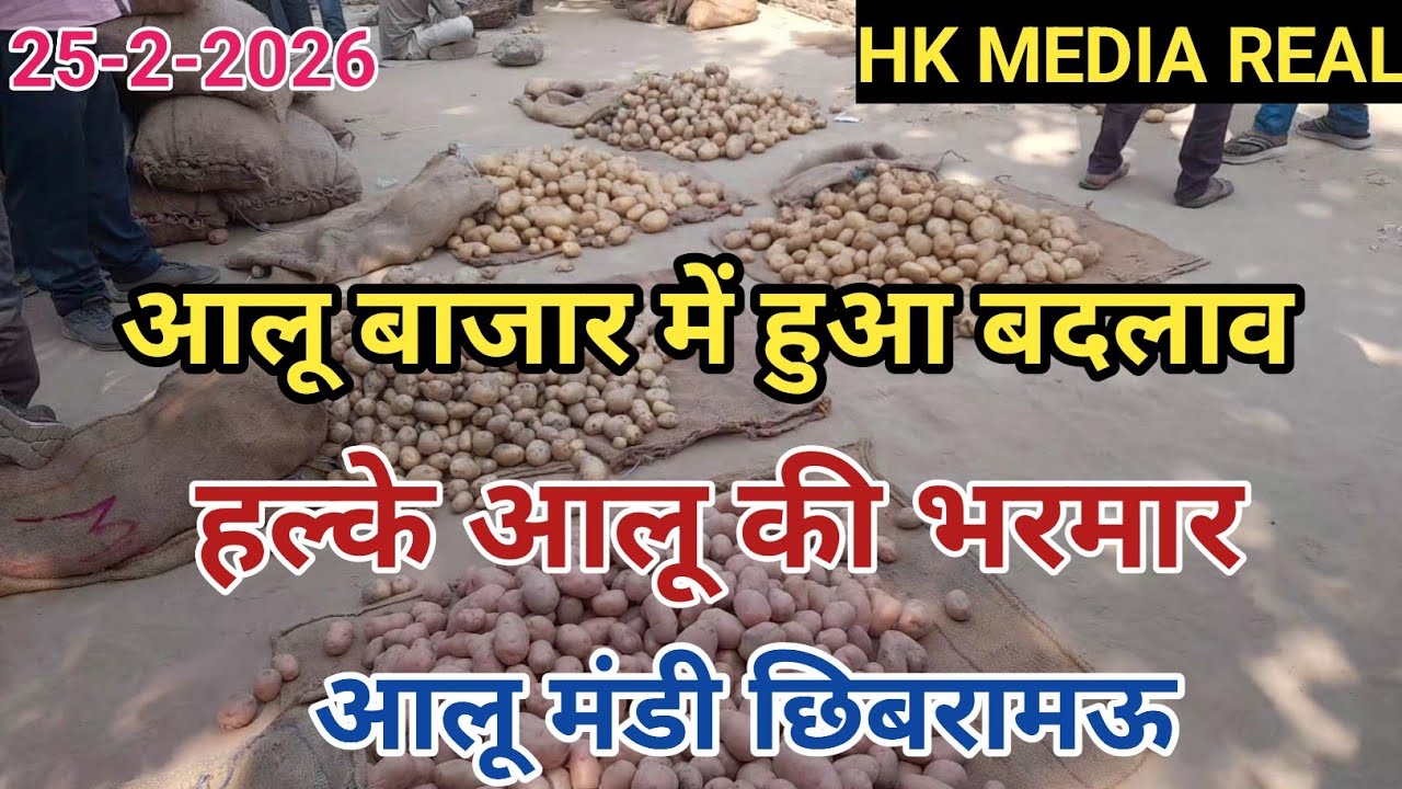 25- फरवरी-2026- आलू बाजार में दिखी गिरावट,आमदनी का जमावड़ा, लाल आलू बाजार टाइट, हल्के आलू की भरमार 
