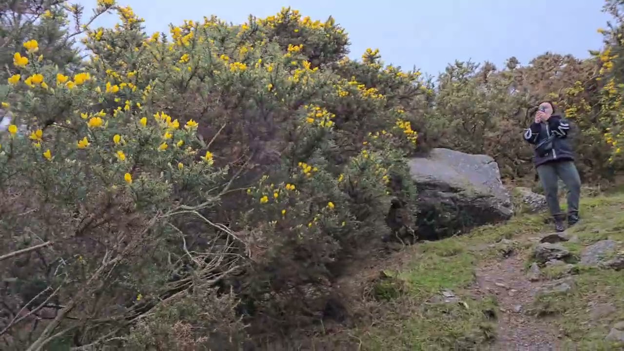 13.03.2026г. Ирландия, В поисках озера ​Каумшингаун (Coumshingaun Lough)ч.2.
