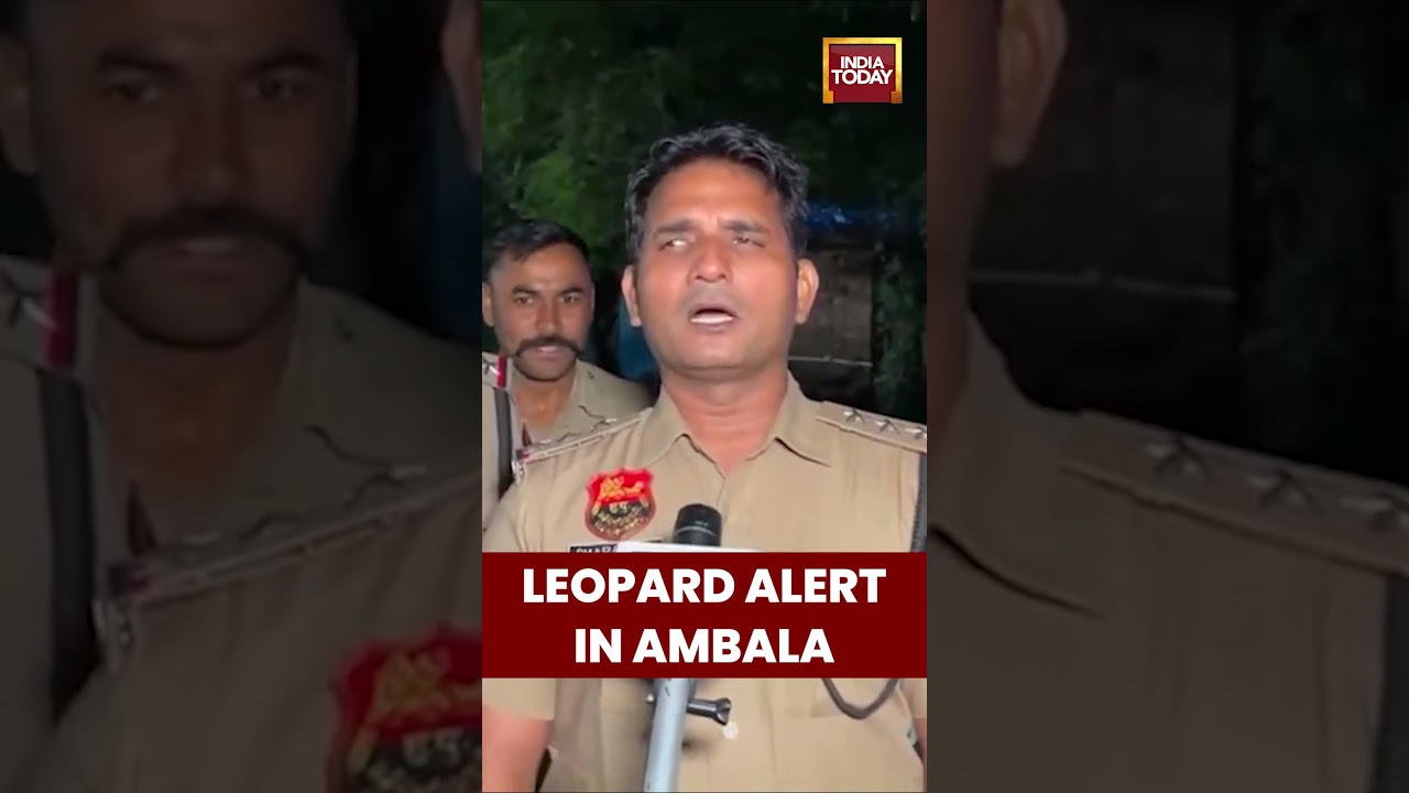 #leopard Alert in #ambala : Police and Forest Team Conduct Search in Dhulkot Village | India Today