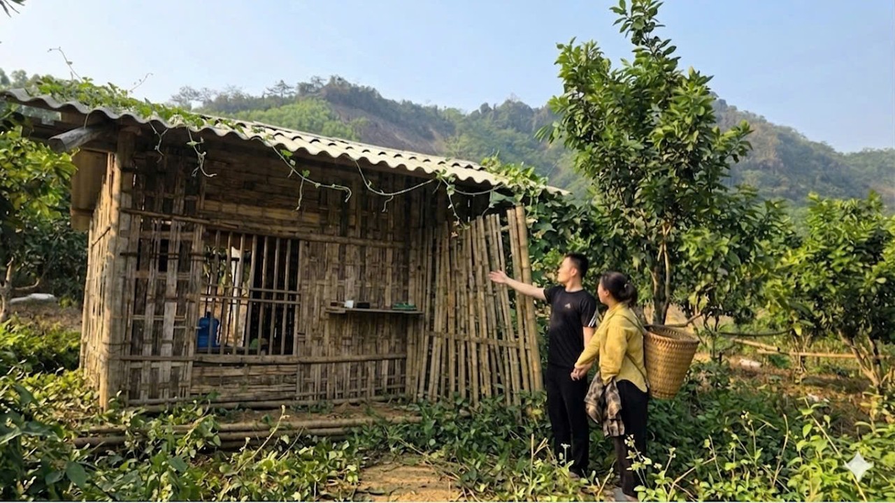 Kind CEO Thinh helps single mother Tu Diep and gives her an abandoned house.