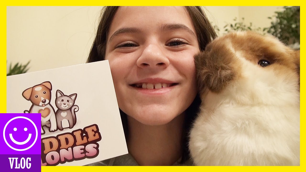 ANGEL MEETS HER CUDDLE CLONE!!  |  KITTIESMAMA 17
