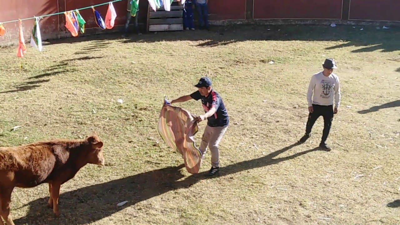 Corrida de toros en Santa Isabel de Caype Lambrama 2019