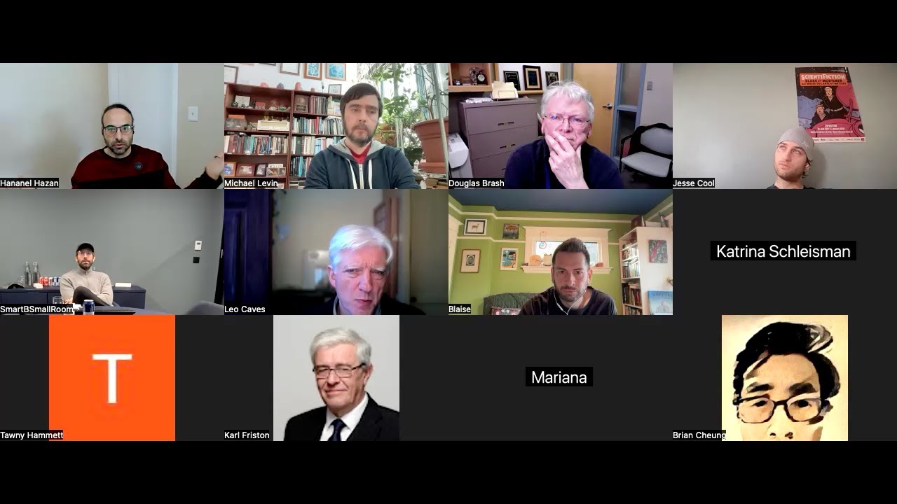 Platonic Space discussion 3
