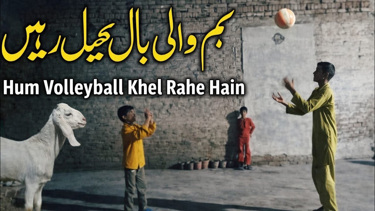 Ham na volleyball 🏐 khela# Goat farm#Allah TalawakalGoat farm #