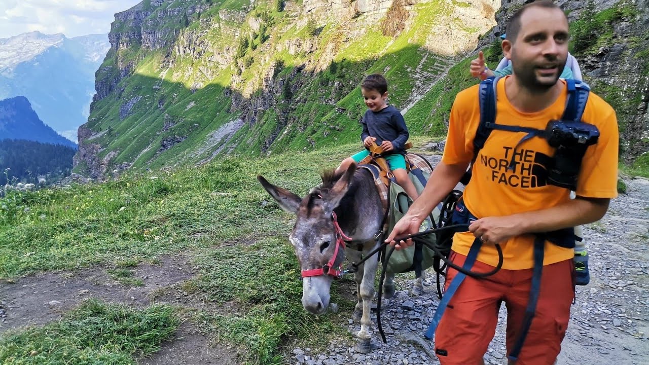 Randonnée en Haute-Savoie avec un âne (refuge de sales).