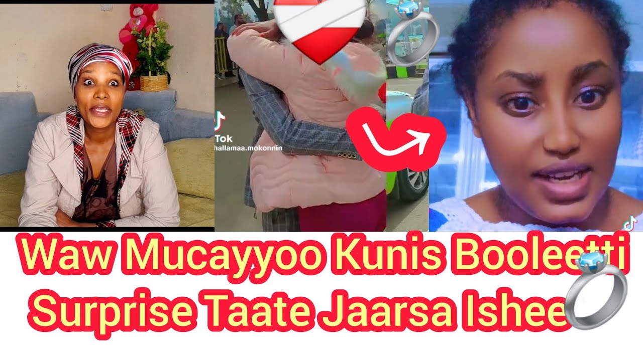 Magan Ishee Mana Kontiraataa Hojjette Malee Hin Fuunu Ishee Ala Hojjechaa Turte Jedhan