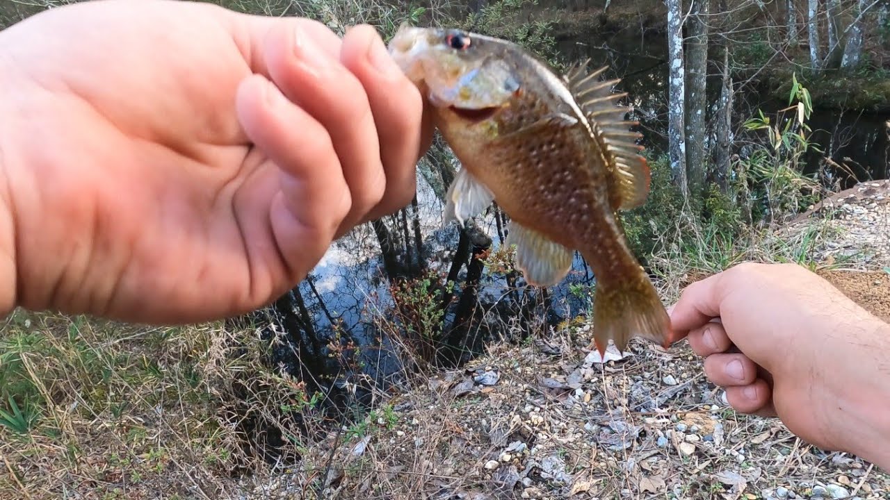 Ultralight Goggle Eye  fishing 