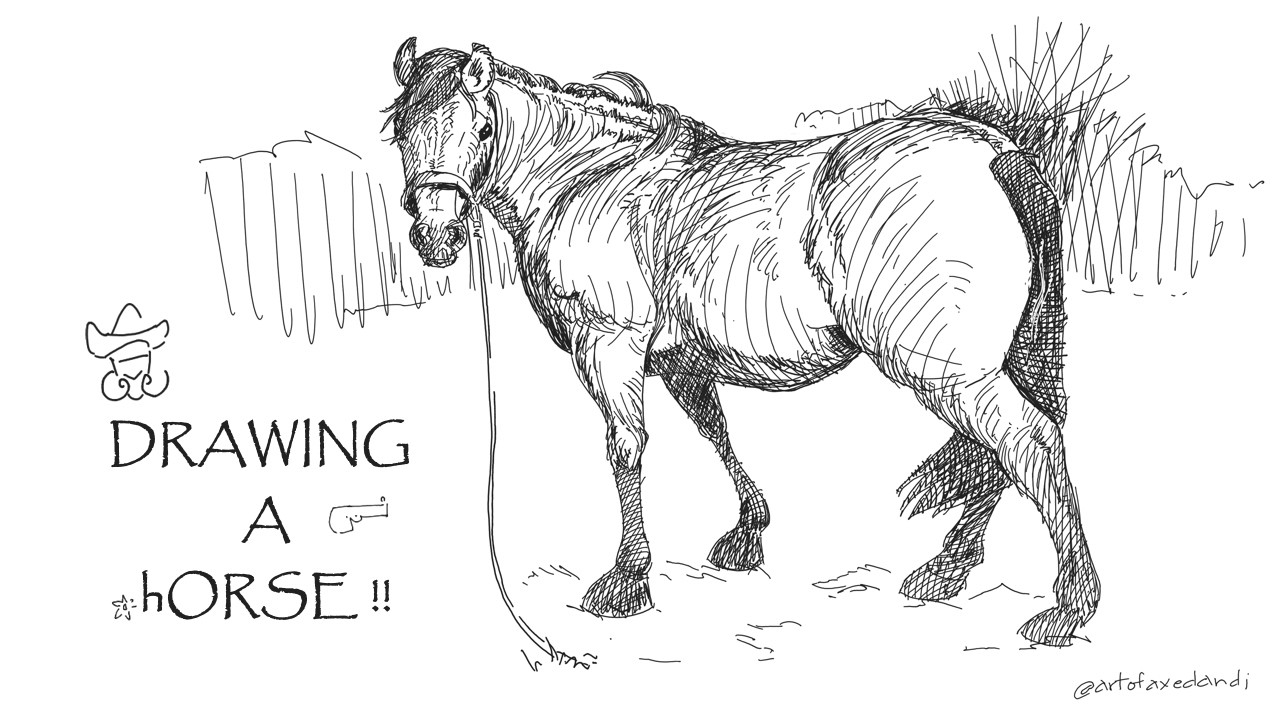 How to Draw a Horse | Horse Drawing Easy