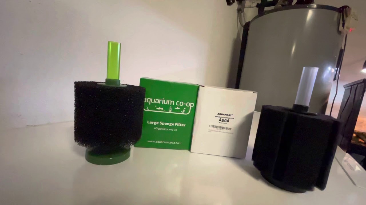 Aquarium Co-op Sponge Filter v. &ldquo;Amazon&rdquo; Sponge Filter...which is BETTER? Part 1