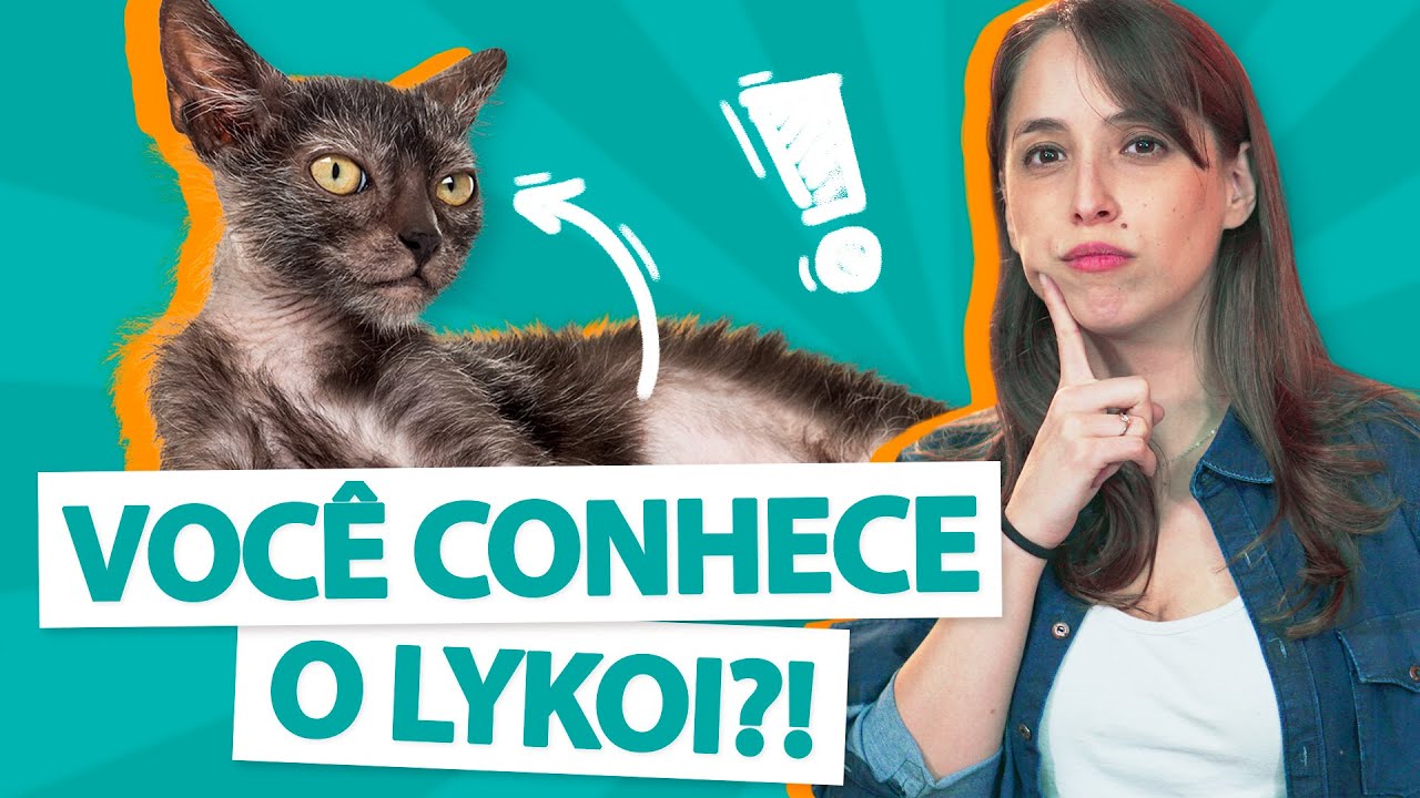 GUIA DA RAÇA LYKOI - Tudo sobre 😻