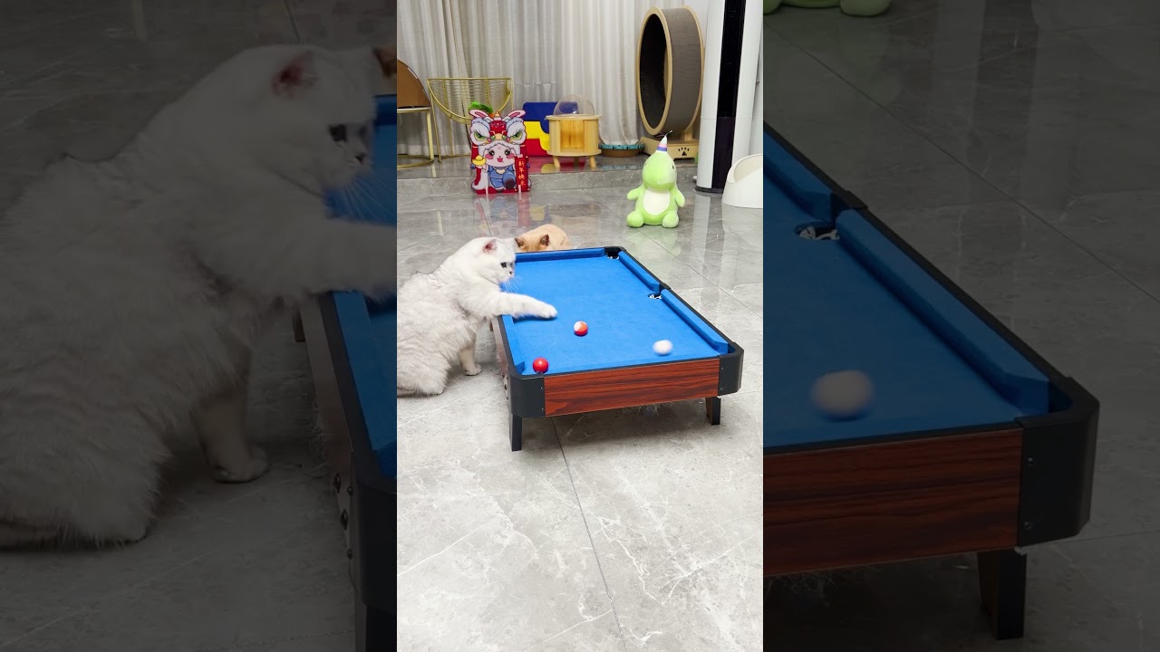 这就是杆法？｜乔巴日记