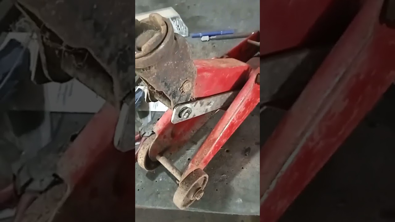 Crocodile Jack Repair