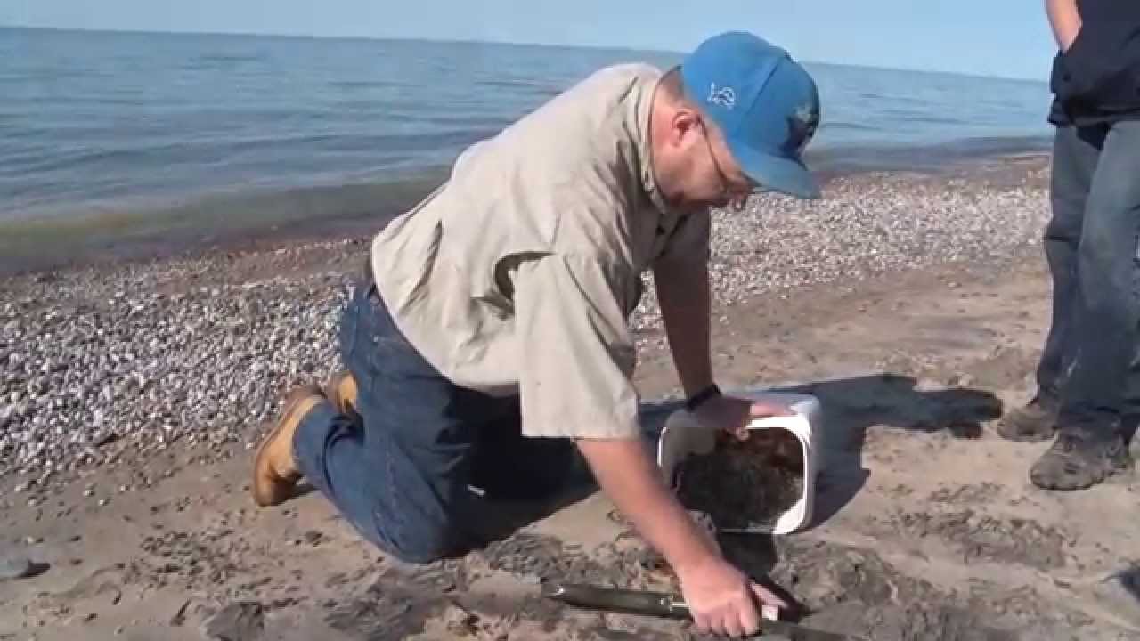 Discovering - Prospecting for Lake Superior Gold, Great Lakes Boat Building School