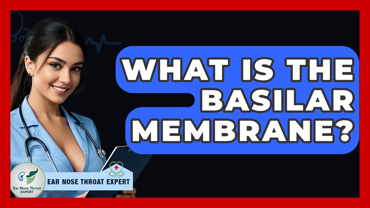 What Is The Basilar Membrane? - Ear Nose Throat Expert