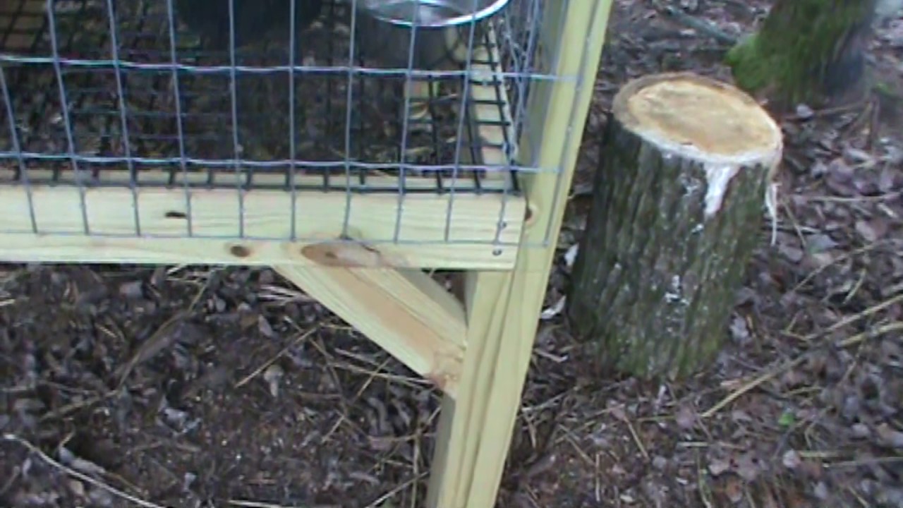 dog kennel measurements