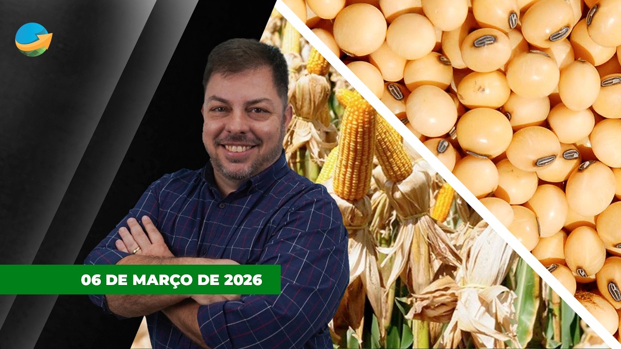 Soja sobe mais de 20 pontos em Chicago e chega aos US$12/bushel; Milho em alta na B3 com conflito...