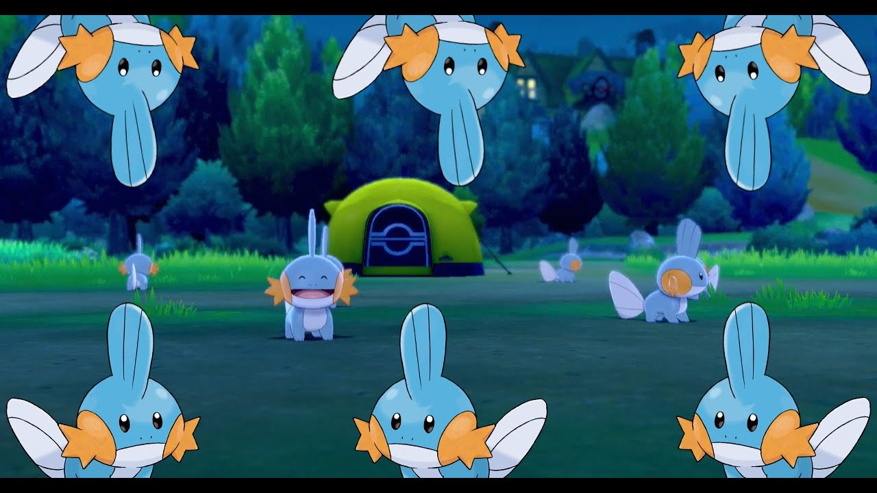 Camping With 6 Mudkips For Over An Hour - Pokemon Sword & Shield