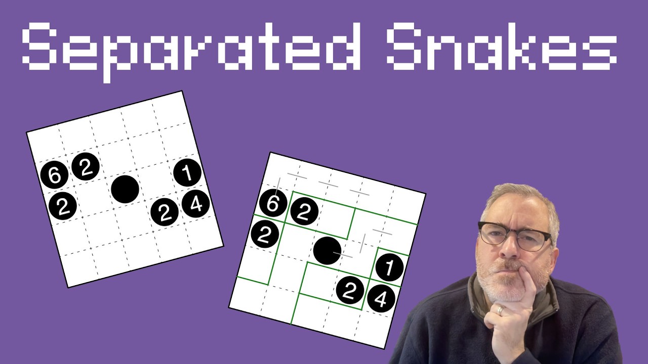 Separated Snakes puzzle tips and tricks! (15.8)
