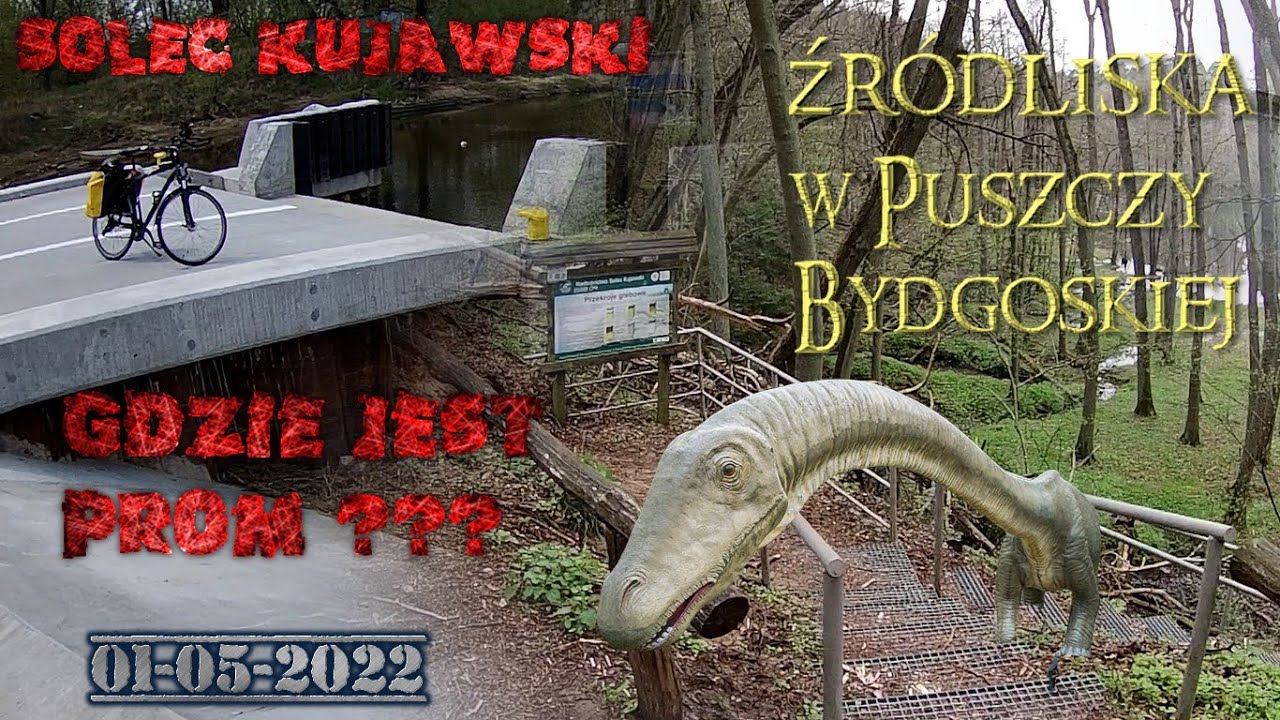 Źródliska w Puszczy Bydgoskiej oraz 
