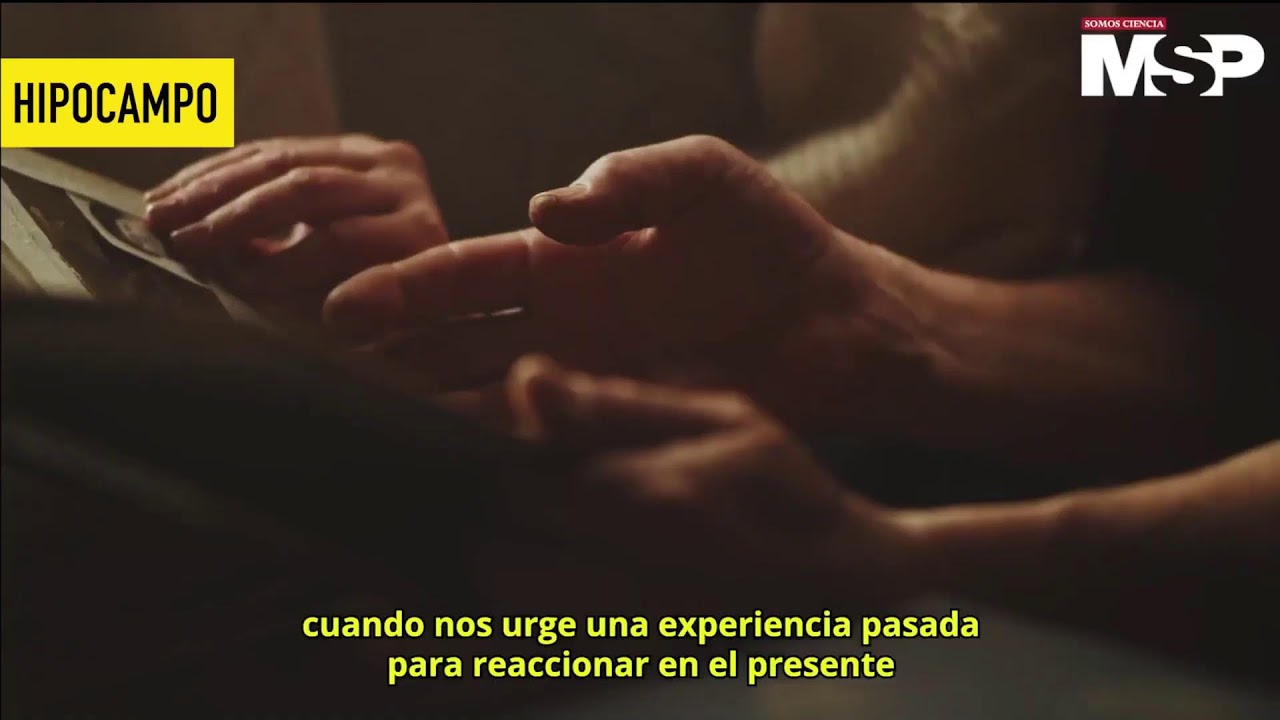 Los Secretos del Cerebro  - #ExclusivoMSP