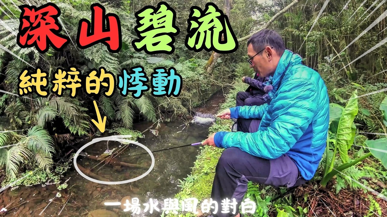 絕對不能說的秘境！深入荒野山溪尋找「失落的原生魚」，這畫面太療癒了...（請帶走垃圾留下美麗）｜Maxcatch｜永裕｜勇作｜小物釣｜生態調查｜#fishing #fishinglife #推薦