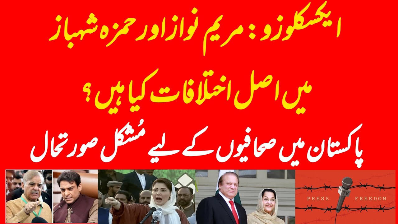 EXCLUSIVE: What are the differences in Maryam Nawaz and Hamza Shahbaz? Situation of press freedom?