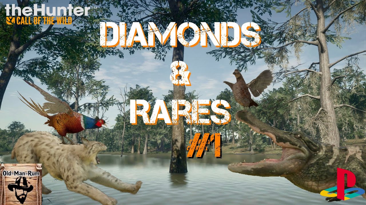 Diamonds & Rares montage #1 Console theHunter Call of the Wild