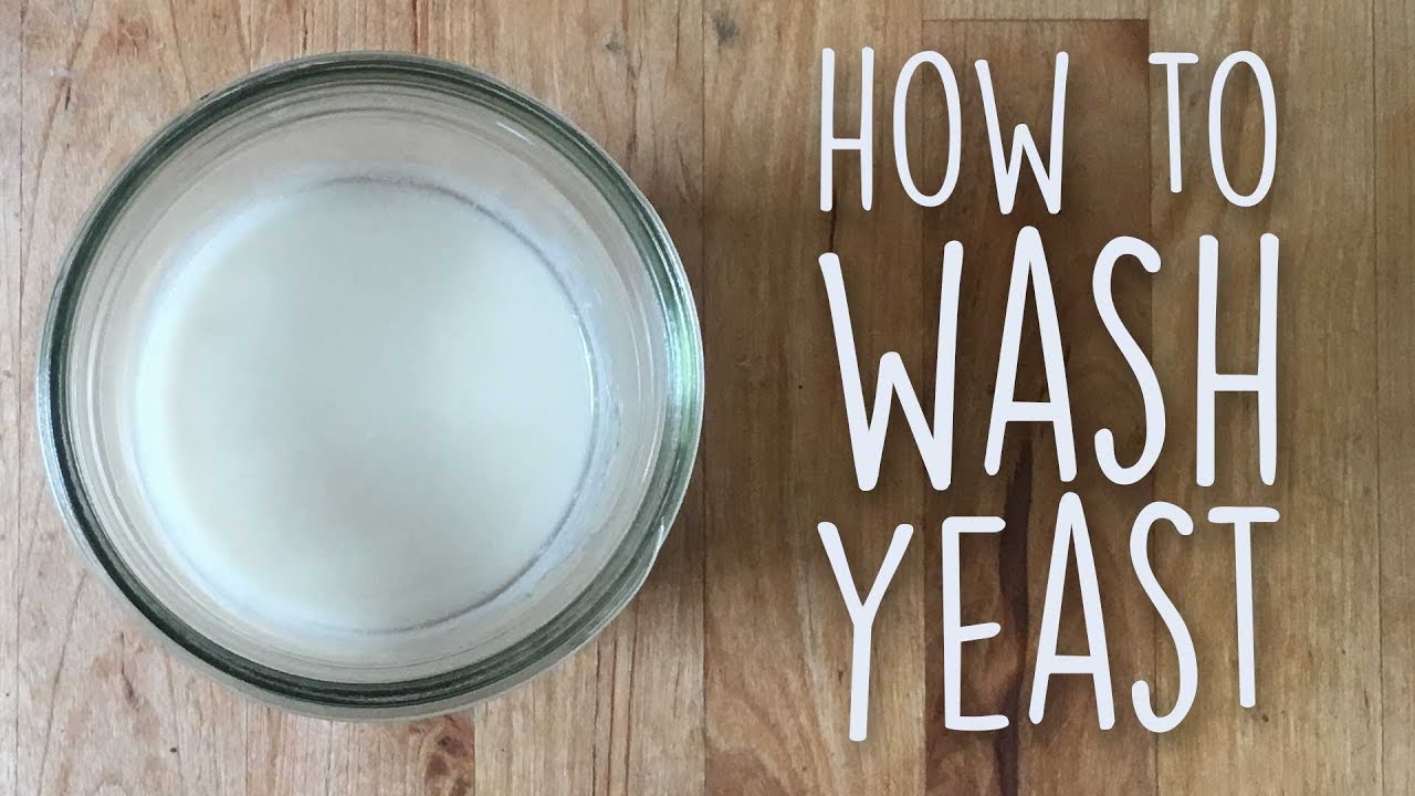 How to wash brewing yeast for re-use in mead, beer, cider, and wine | Brewin' the Most