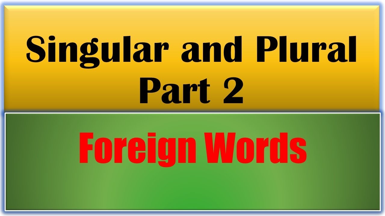 Singular and Plural - Foreign words| singular and plural nouns