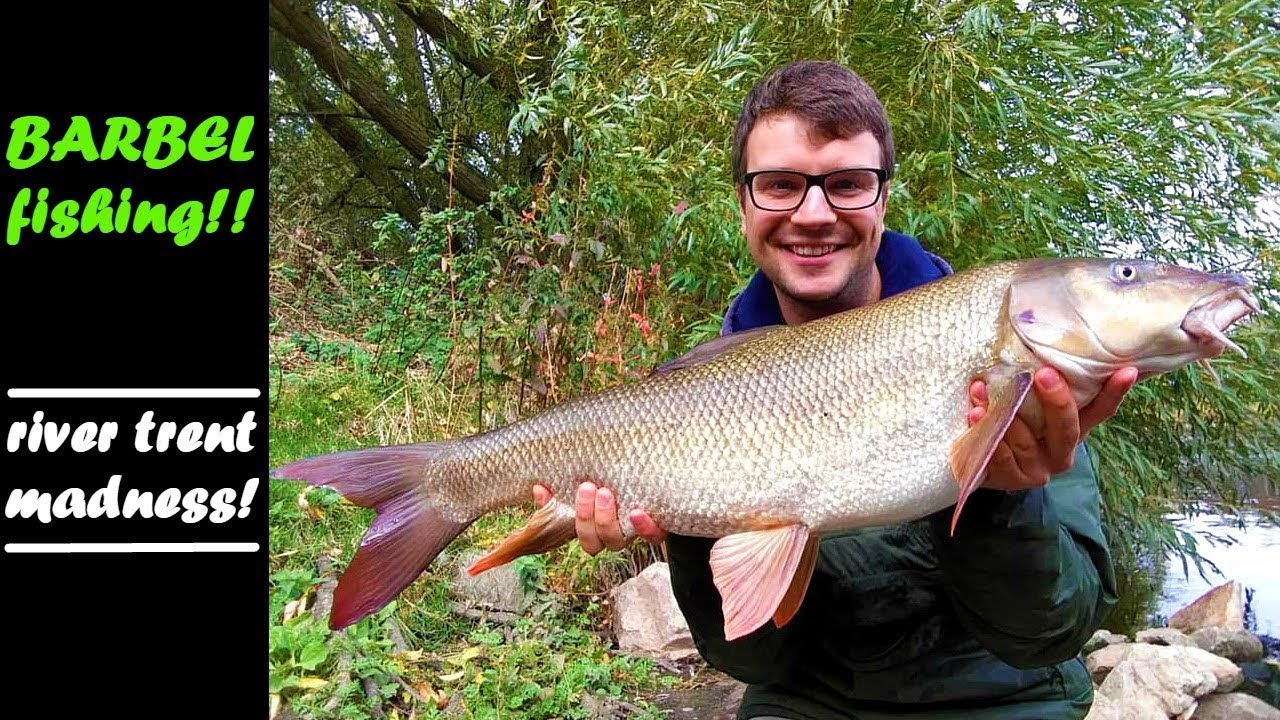 BARBEL FISHING| River Trent BIG barbel PB smashed!