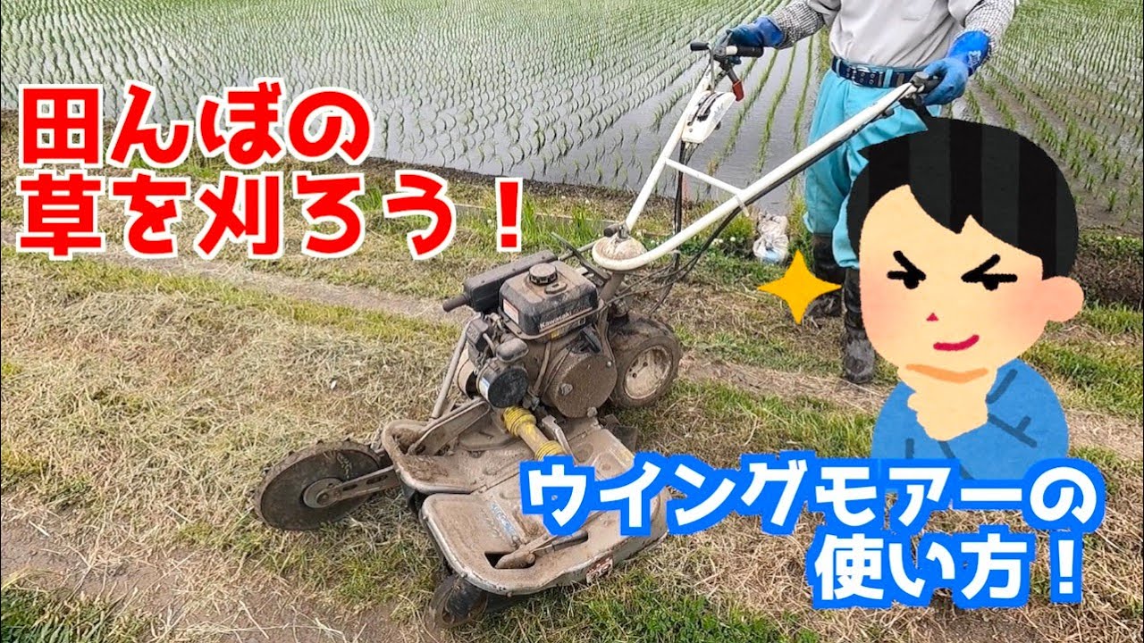 ウイングモアーの使い方を紹介！田んぼの草刈りを楽にしてくれるウイングモアーを使うメリットは？