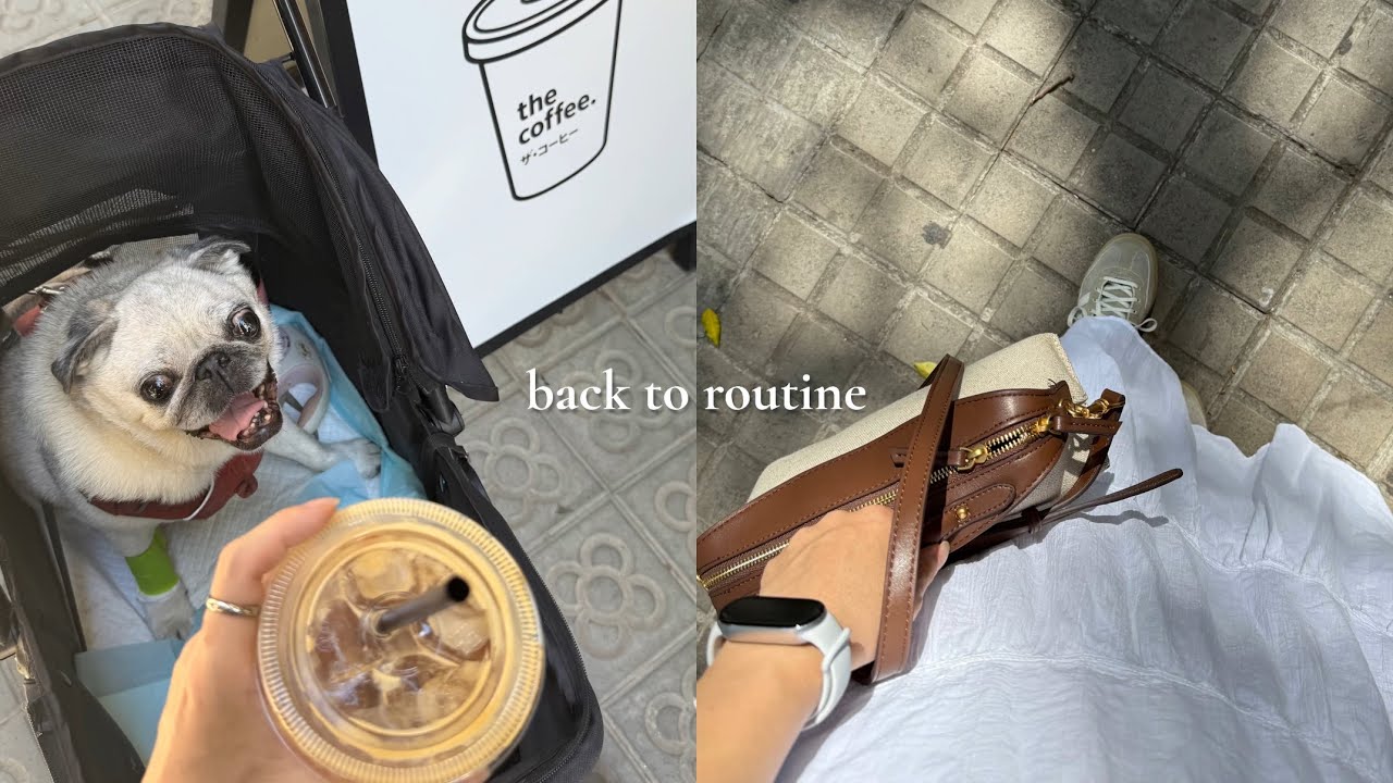 Back to routine, a difficult decision&hellip; | vlog
