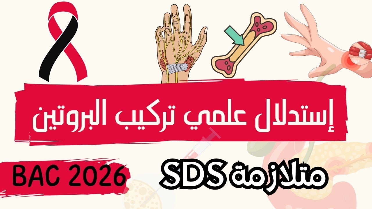 تمرين استدلال علمي تركيب البروتين 😎 فكرة ممتازة 🙌🏻التدرب على المنهجية ✅