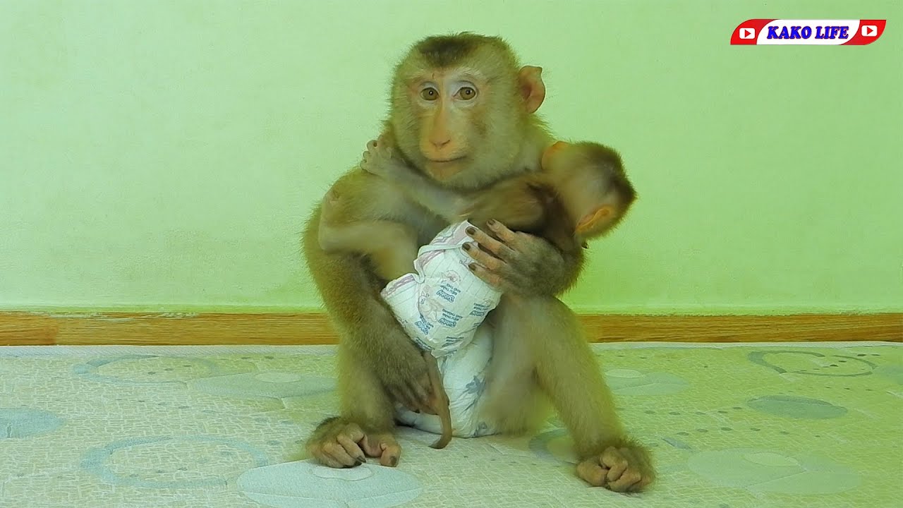 Smart Brother Kako Take Care Tiny Lisa While Mom Busy