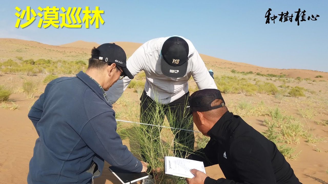 巡林并视察之前的植林成果