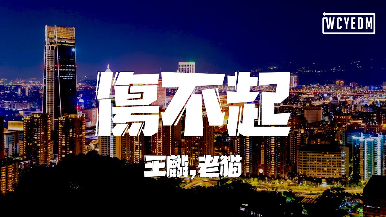 王麟,老猫 - 伤不起「伤不起真的伤不起 我想你想你想你想到昏天黑地」【動態歌詞/pīn yīn gē c&iacute;】
